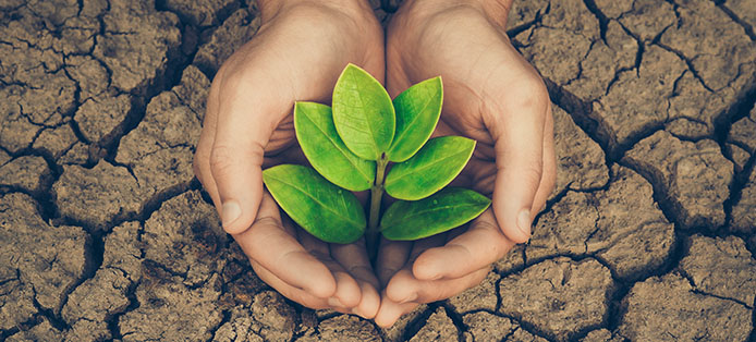Was können wir für den Klimaschutz in Deutschland tun?