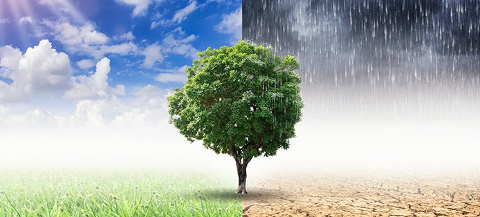 Ursachen und Folgen des Klimawandels: Hitzewelle in Deutschland