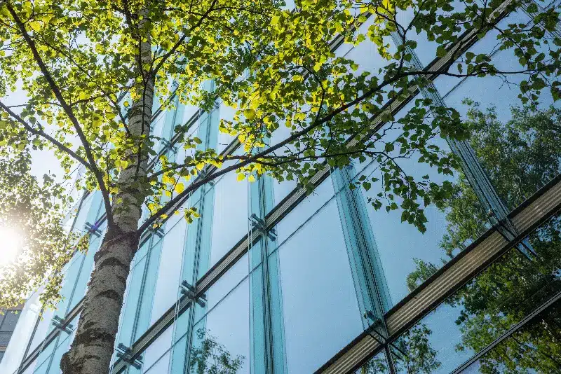 ESG-konform bauen mit DGNB & QNG